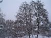 DSC00107