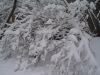 DSC00108