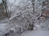 DSC00109