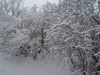 DSC00114