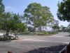 DSC00040