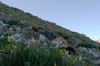 picture-11