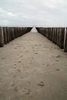 Photo Number 6