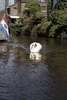 Photo Number 13