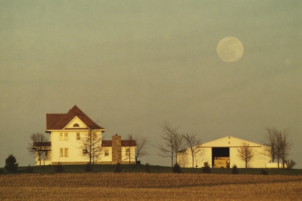 Photograph