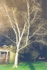 Photo Number 6